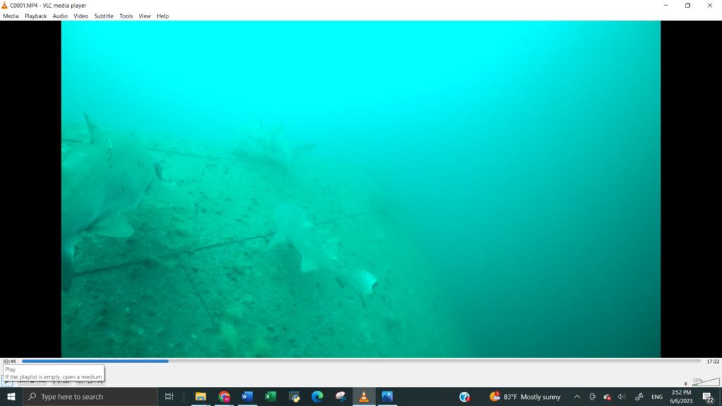 4bb7e9b4-7aa0-4bc3-8cfe-e6e8a897e21c