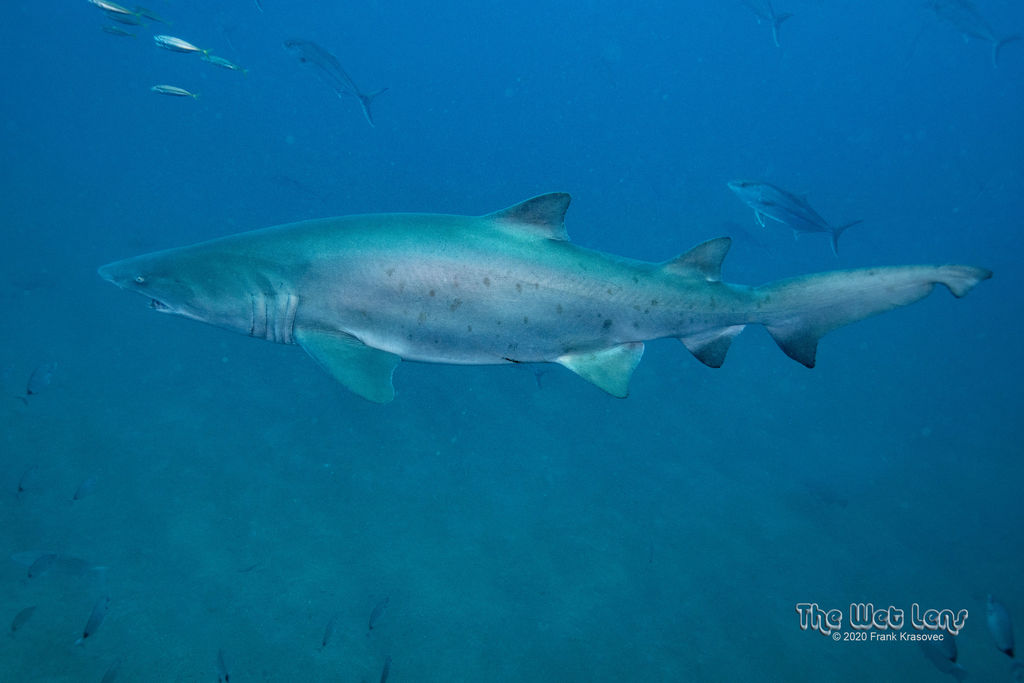 72d065ac-e9cf-40c0-8eff-f48928b4f13e