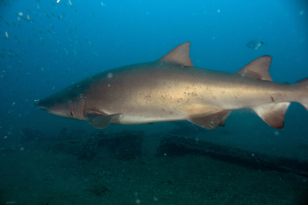 0fb9614f-b457-4ee7-8f10-9f989b097dbf