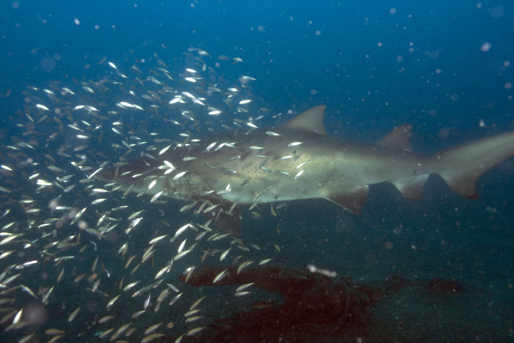 0fb9614f-b457-4ee7-8f10-9f989b097dbf