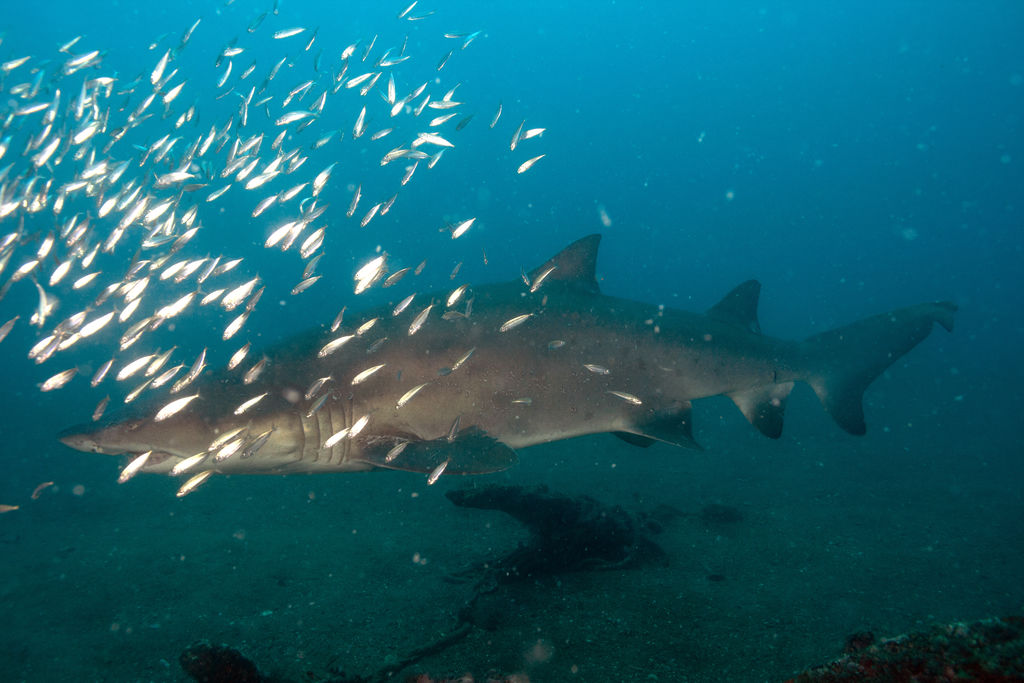 0fb9614f-b457-4ee7-8f10-9f989b097dbf