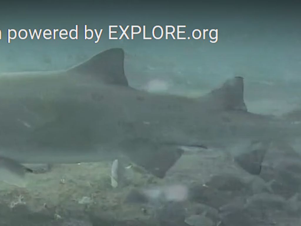 89a96681-006e-4215-b353-8945cee86256