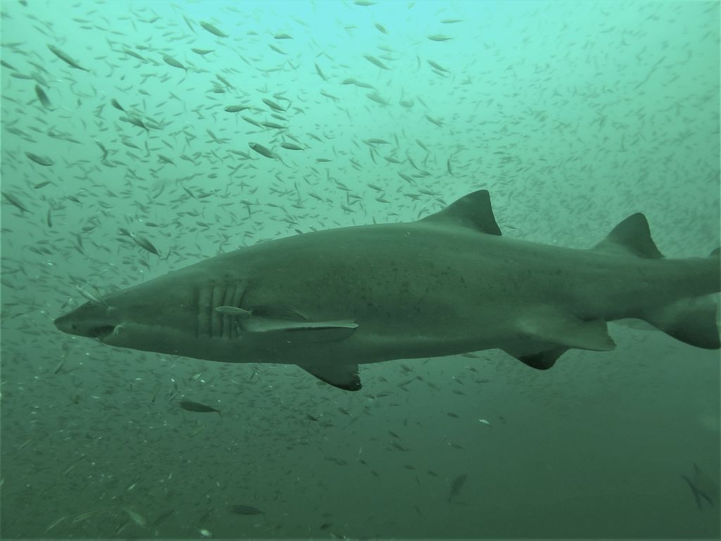 1de294e5-f45b-43f0-b404-e5b7f274e0eb