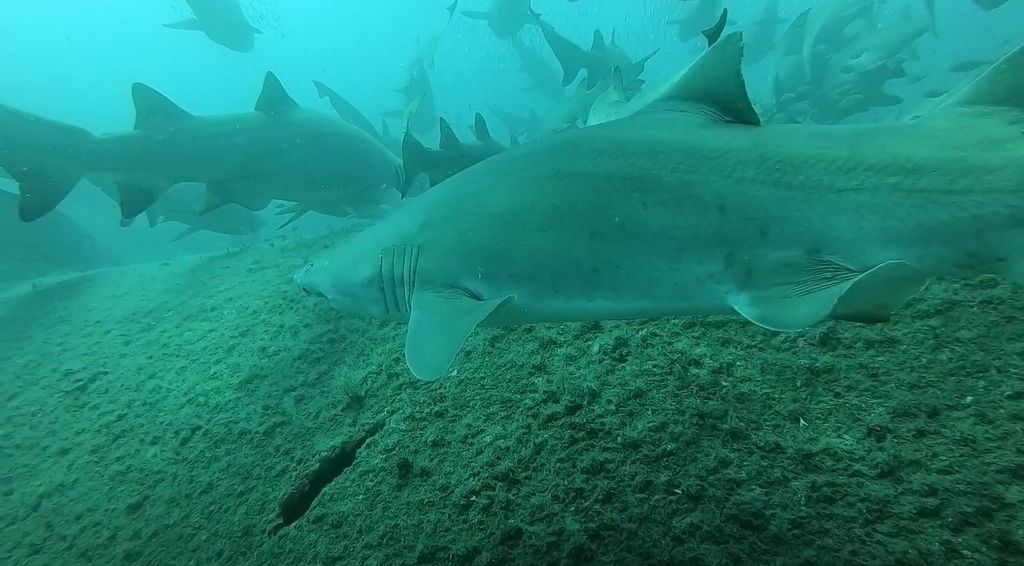 138b8815-1e23-4183-9b91-4772c1b0679f