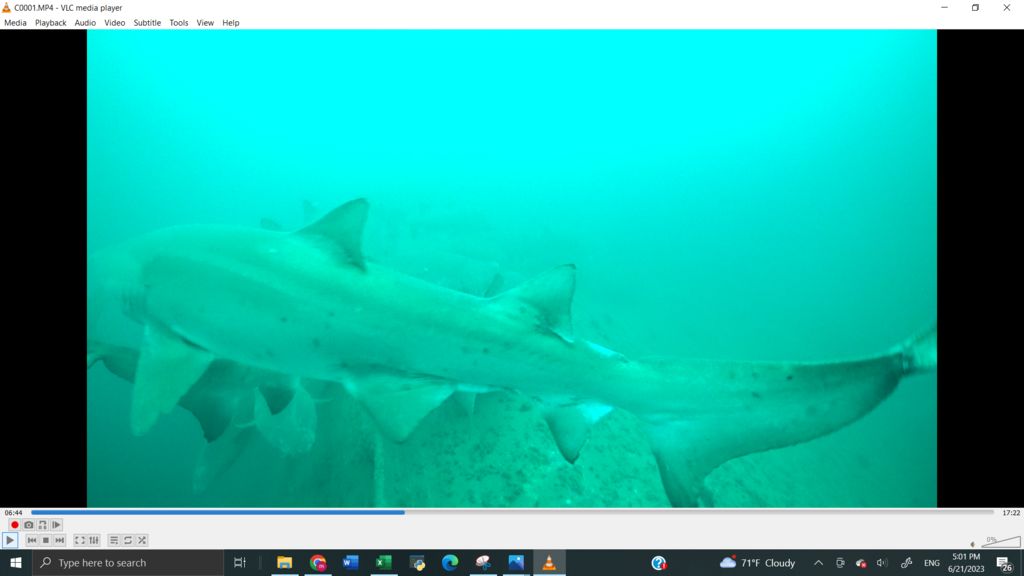 ad6075cf-f078-425c-8296-b24b129ba540