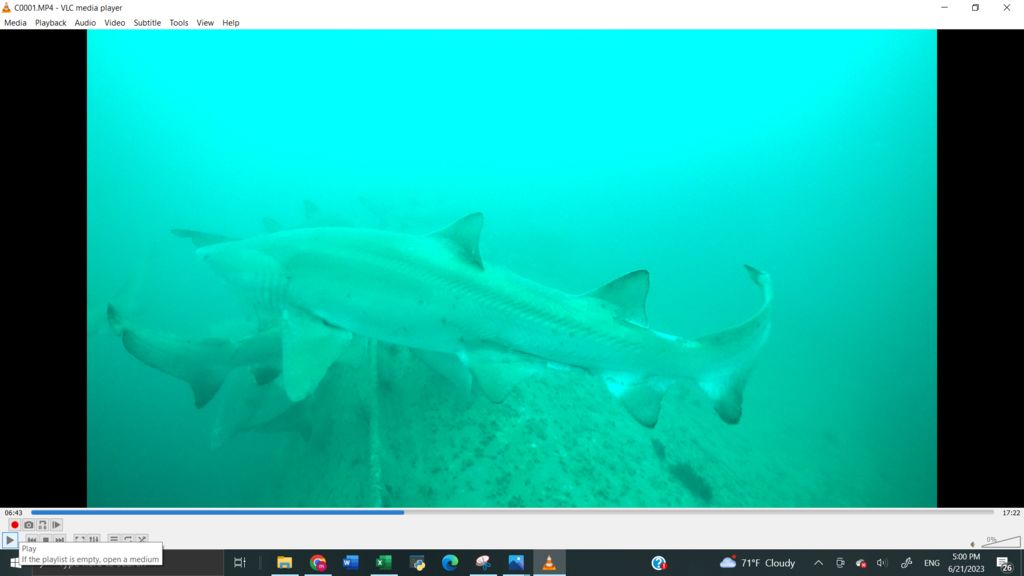 ad6075cf-f078-425c-8296-b24b129ba540