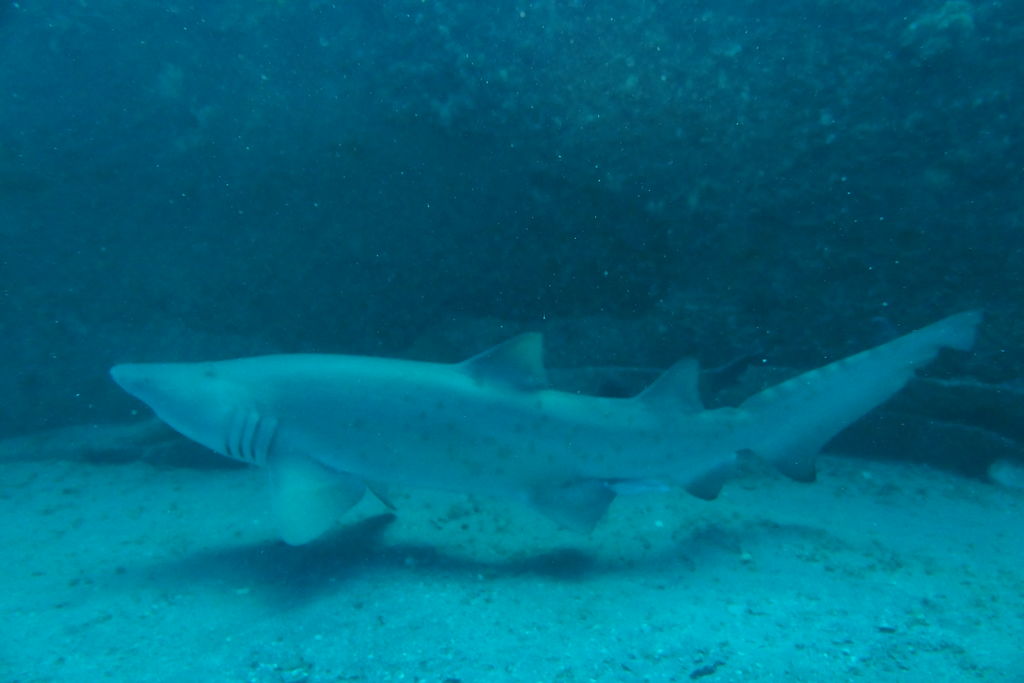 9da9467f-5a48-42be-ba72-acd1c7b0bec9