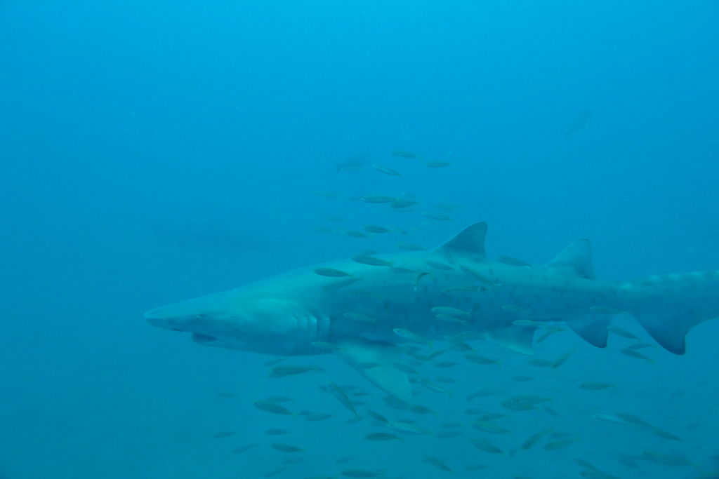 9da9467f-5a48-42be-ba72-acd1c7b0bec9