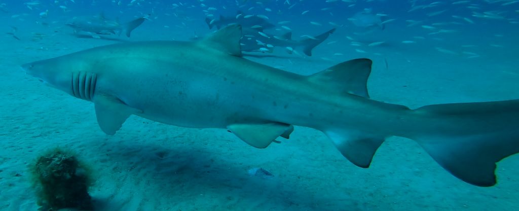 0ccc6be4-a3db-4825-a278-4a337415443a