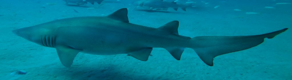 0ccc6be4-a3db-4825-a278-4a337415443a