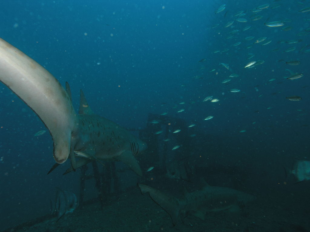 d9caf42e-55d2-4a82-acf2-77b07d889222