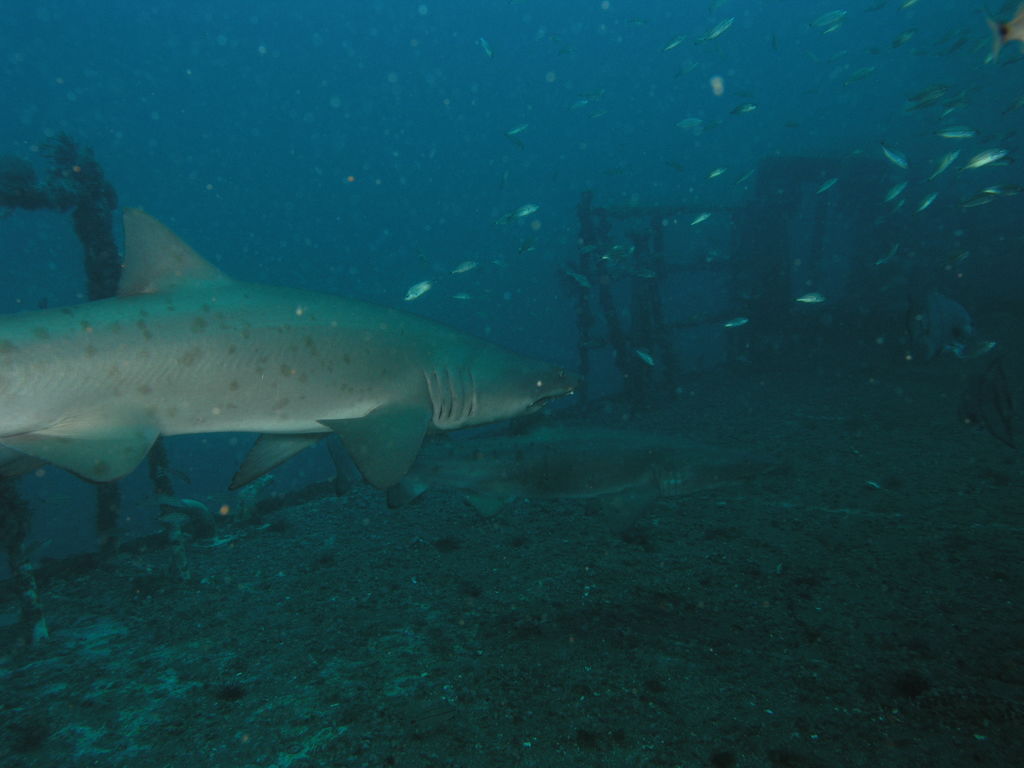 d9caf42e-55d2-4a82-acf2-77b07d889222