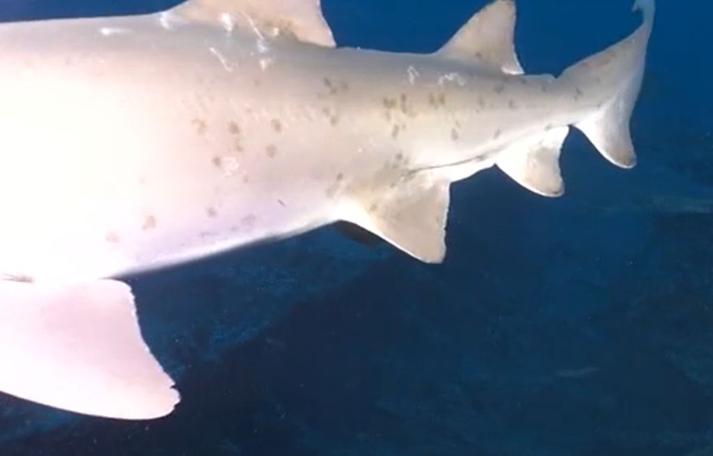 bb23e9e5-8793-4766-a764-42408b727080