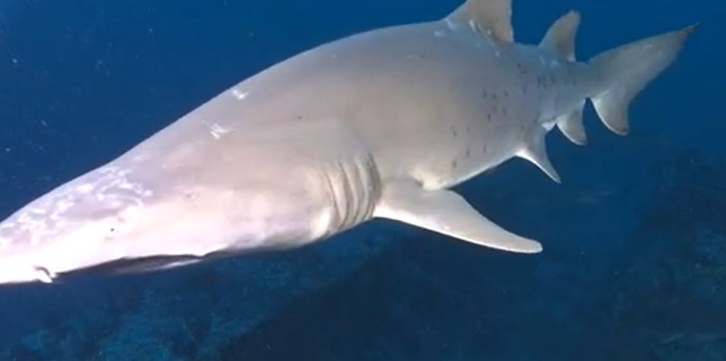 bb23e9e5-8793-4766-a764-42408b727080