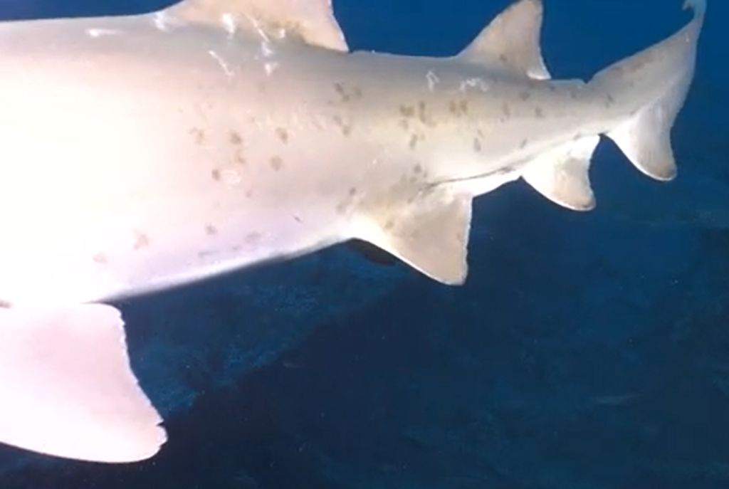 bb23e9e5-8793-4766-a764-42408b727080