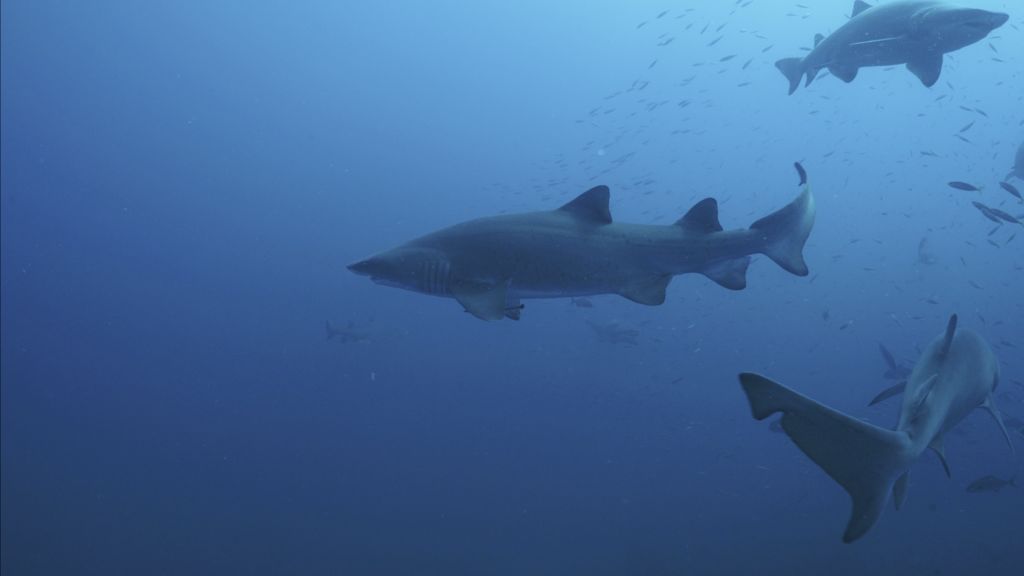 14c74fa8-f1dc-4c7b-b1eb-db8a67d4a472