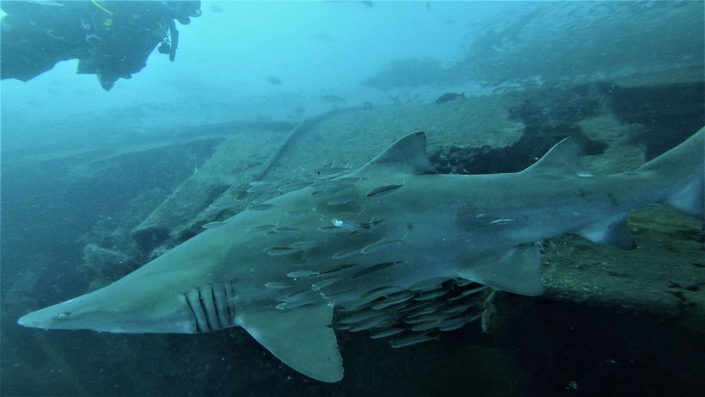 13125340-ec5d-4cd1-b74b-59b93f636abb