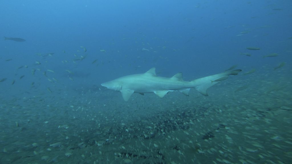 56abc03a-174c-4d35-9a30-71f89bbb097f