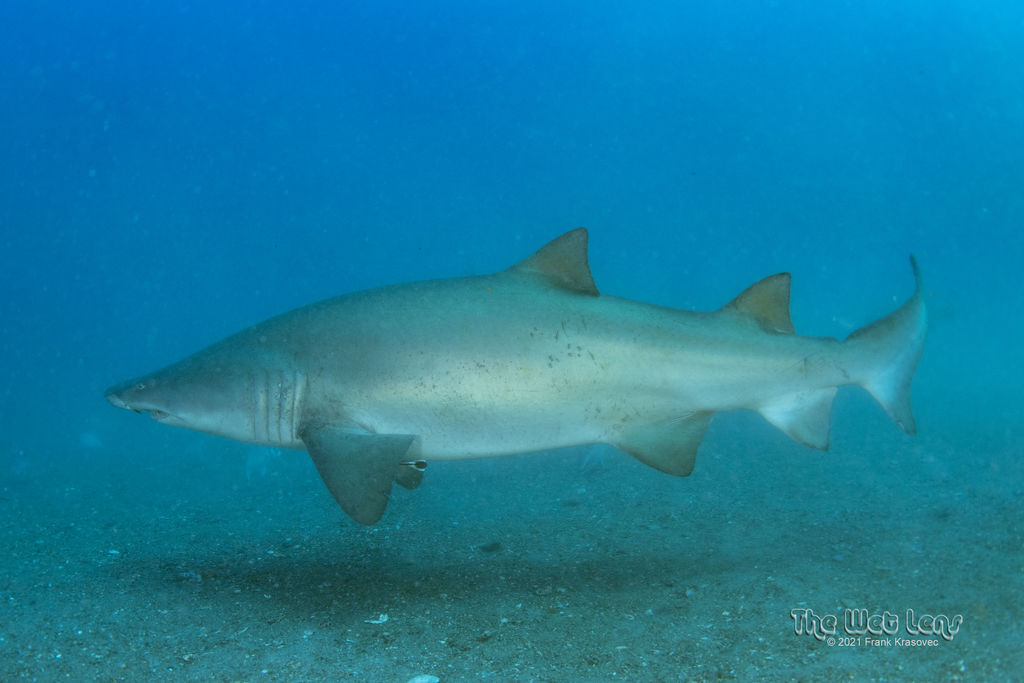 27dd82e0-4b2d-41b0-910d-7c9c22000329