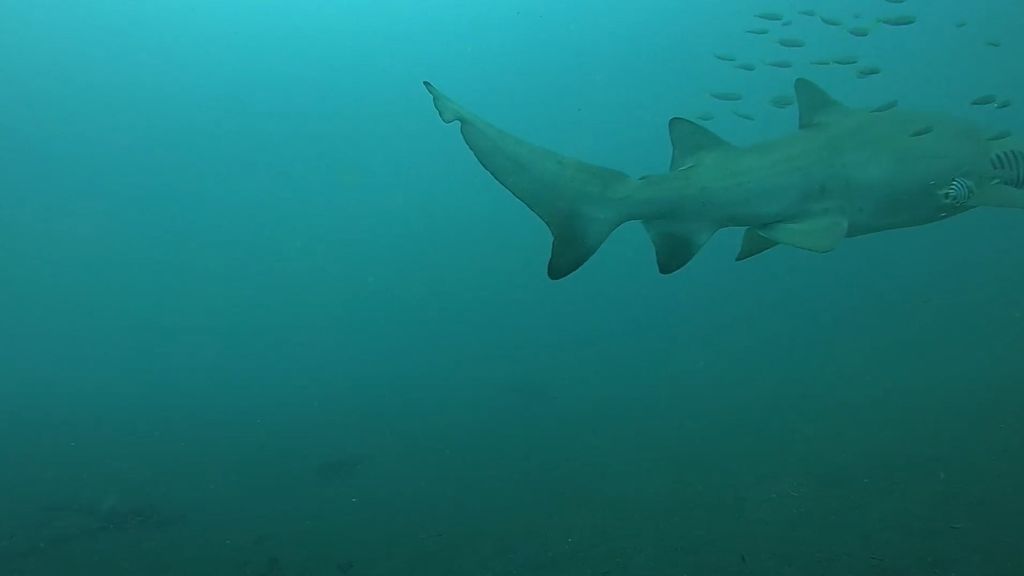 abaabe54-bfe2-43e0-8a7e-71d060fc640c