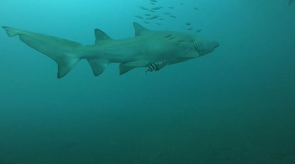 abaabe54-bfe2-43e0-8a7e-71d060fc640c