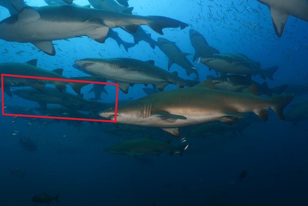 dee9c854-798f-4c92-804f-9881efafc72d