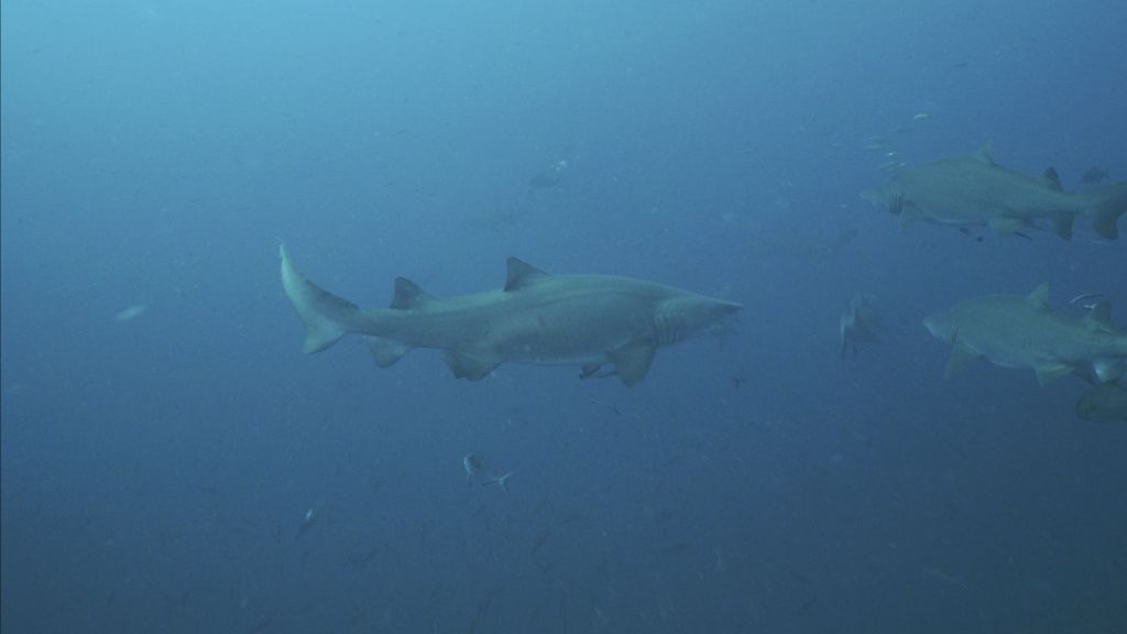 7ab509a5-ca1b-4a37-aaf1-11aec972a532