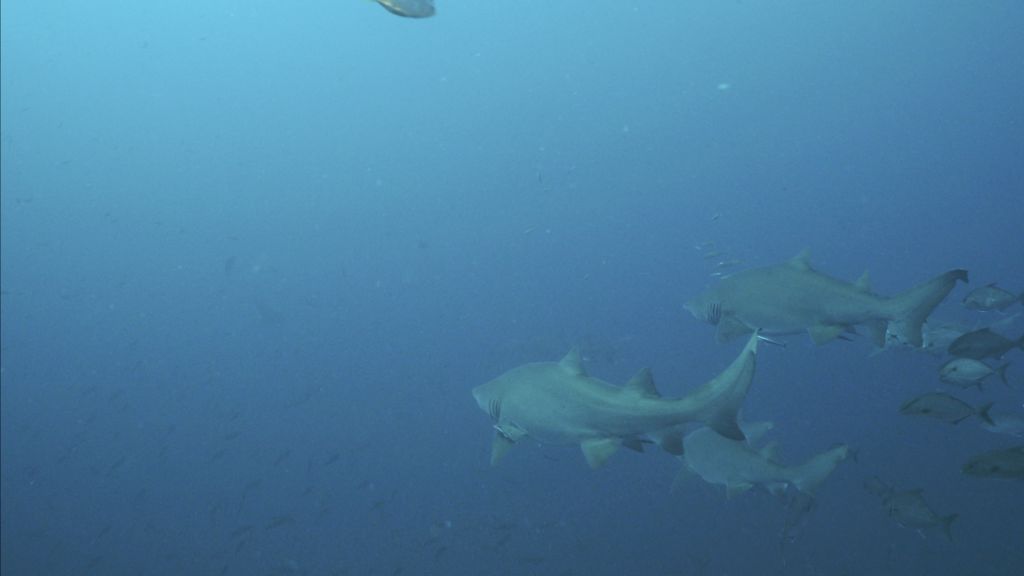 7ab509a5-ca1b-4a37-aaf1-11aec972a532