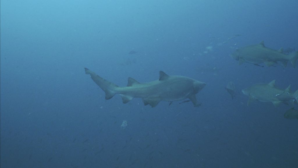 7ab509a5-ca1b-4a37-aaf1-11aec972a532