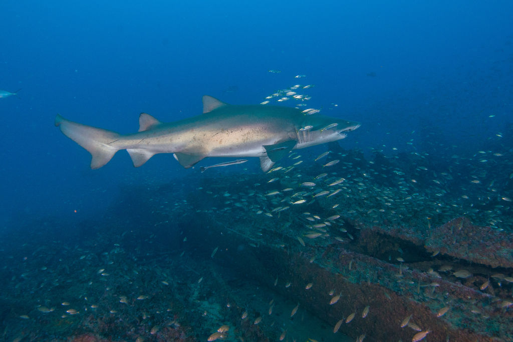 b97cfeb6-33cd-4a39-8319-3cc60242e4b2