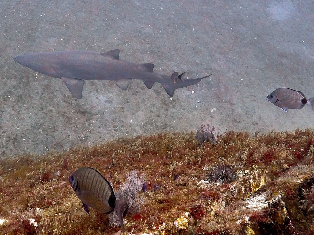 8af4582d-106b-40a4-8a23-2d016c65eb8a