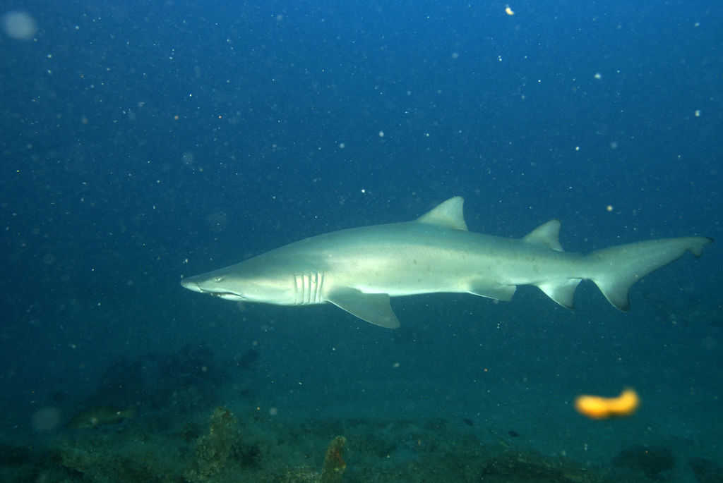 be4edc02-ea3c-46ed-aafb-68524a54daf4