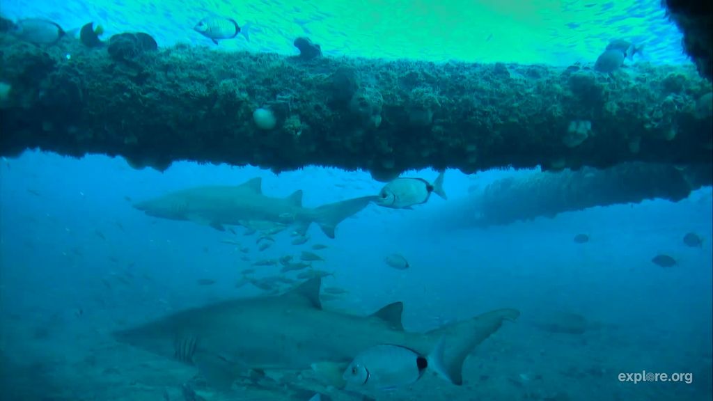 c3de17d8-5ad7-4ae5-801f-1030366ea366