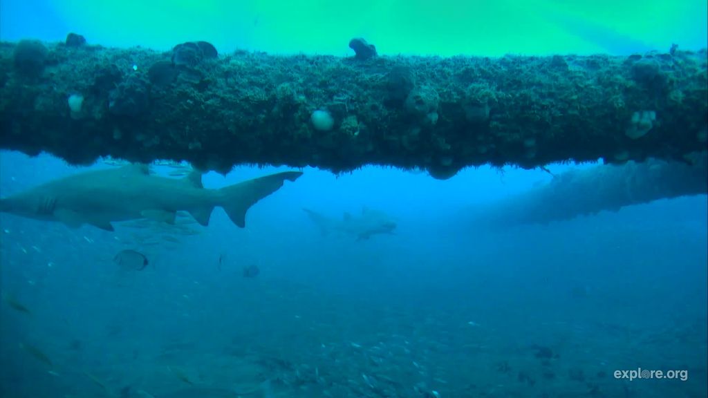 c3de17d8-5ad7-4ae5-801f-1030366ea366