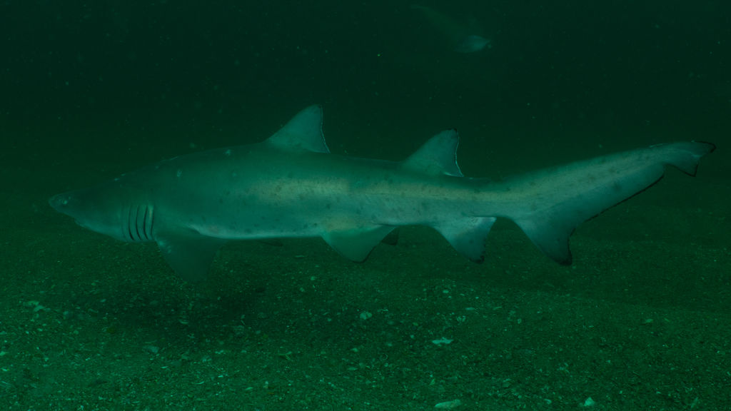 cc430a60-f0bb-44a4-9e96-d9e4163b1211