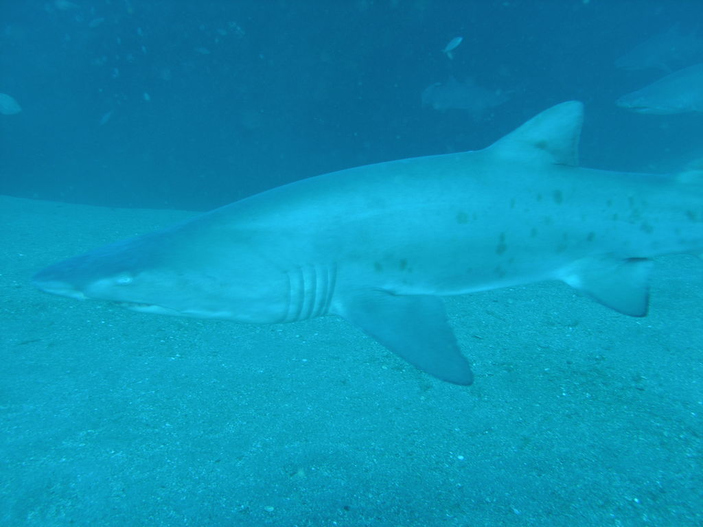 719cd44f-10af-4963-bf2f-a2aae79e7cbf