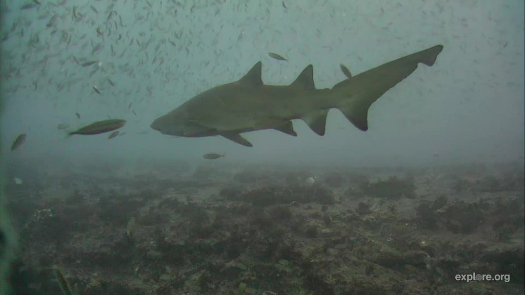 fb3bdd98-e1e7-4c97-940b-1e049e7c1bd2