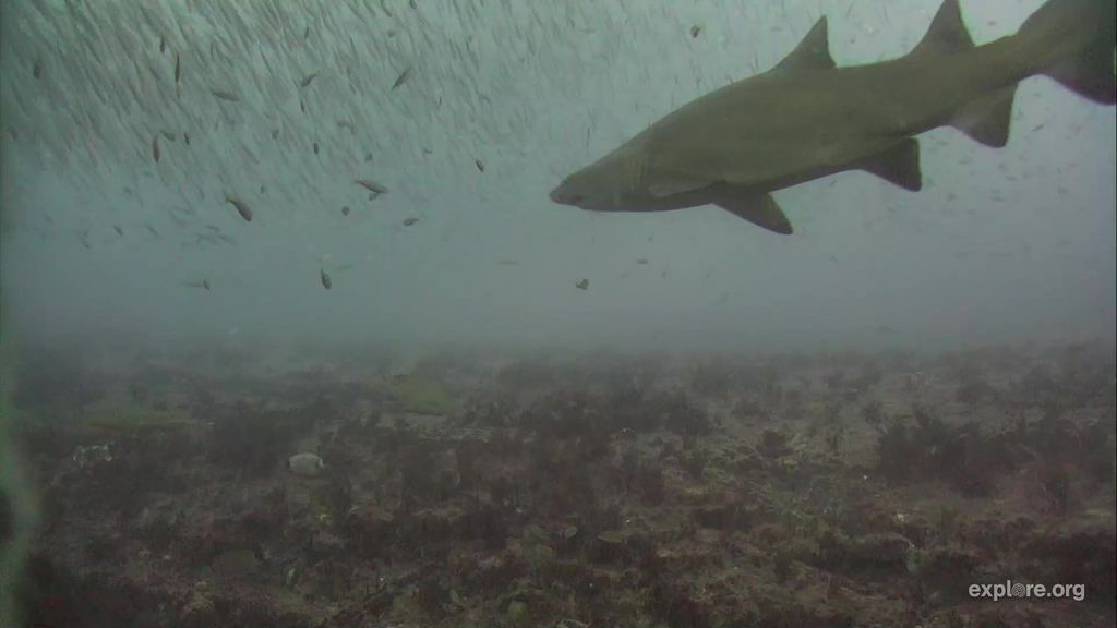 fb3bdd98-e1e7-4c97-940b-1e049e7c1bd2