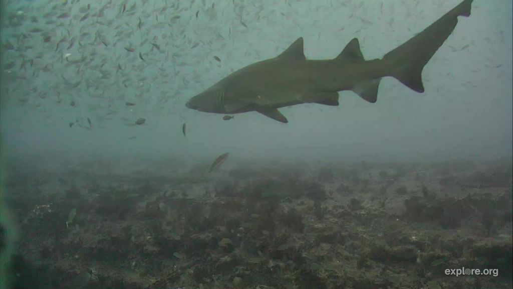 fb3bdd98-e1e7-4c97-940b-1e049e7c1bd2