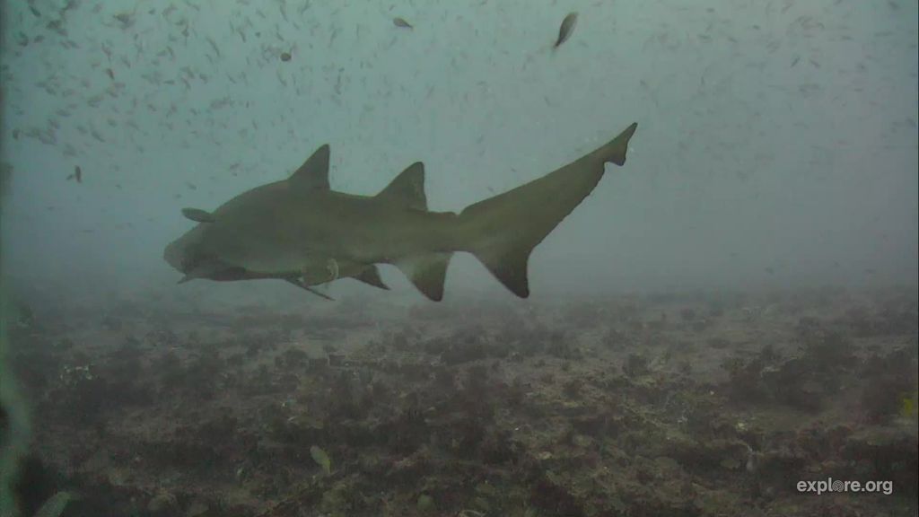 fb3bdd98-e1e7-4c97-940b-1e049e7c1bd2