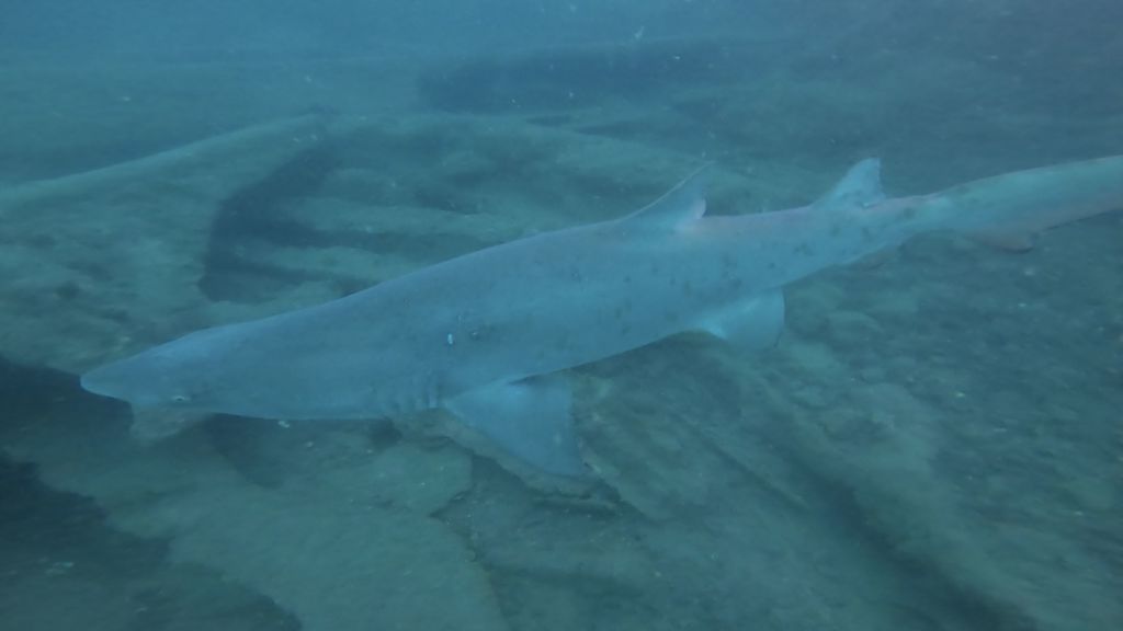 fc26aca1-523e-43ab-b2ee-a24f7f00eba4