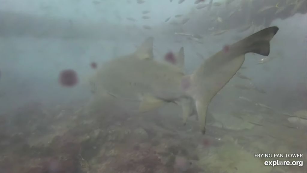 2140495f-d071-4be5-a63b-c29f36273b8d