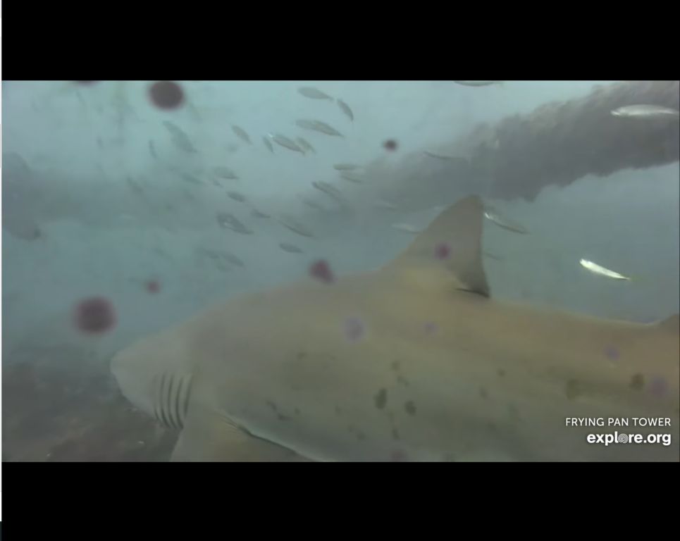 2140495f-d071-4be5-a63b-c29f36273b8d