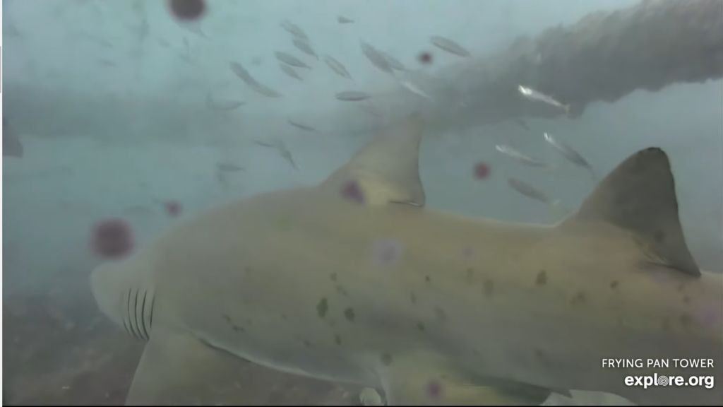 2140495f-d071-4be5-a63b-c29f36273b8d