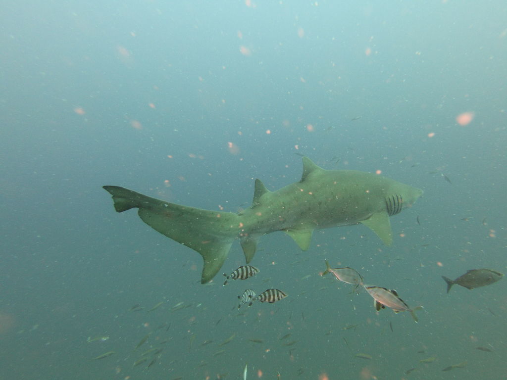 6472e3c1-18c0-43fa-82cd-9349d03474d0