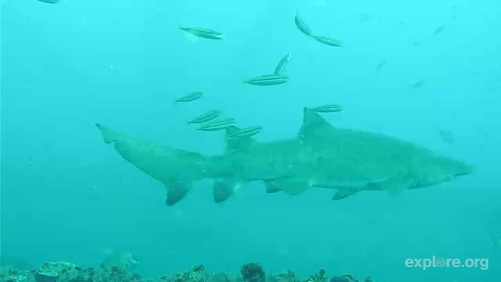 2d588eb7-b4d1-4bb7-bde3-7b317a3ceb96