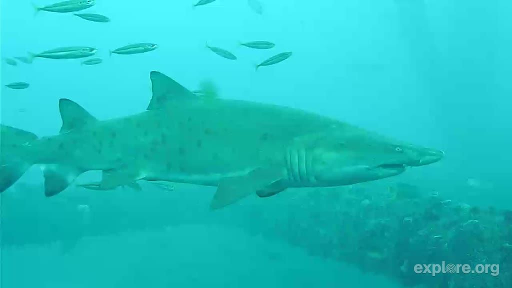 2d588eb7-b4d1-4bb7-bde3-7b317a3ceb96