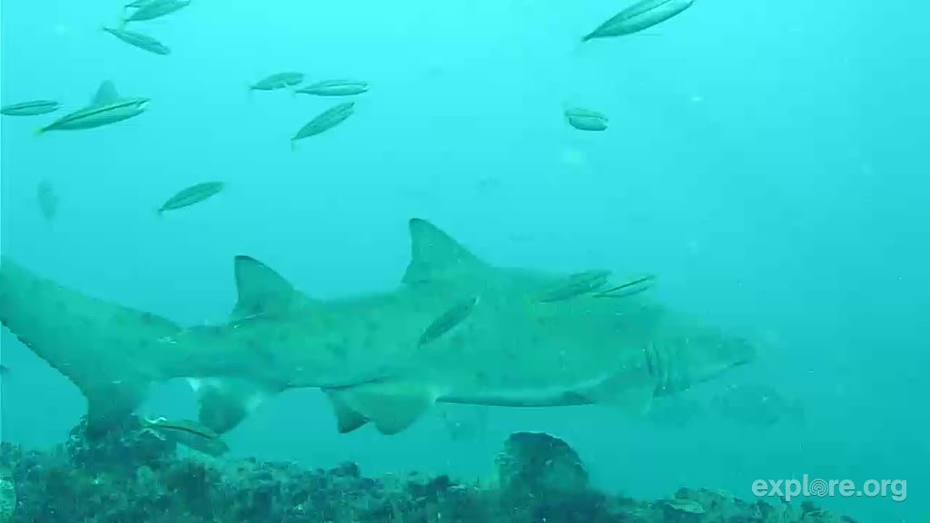 2d588eb7-b4d1-4bb7-bde3-7b317a3ceb96