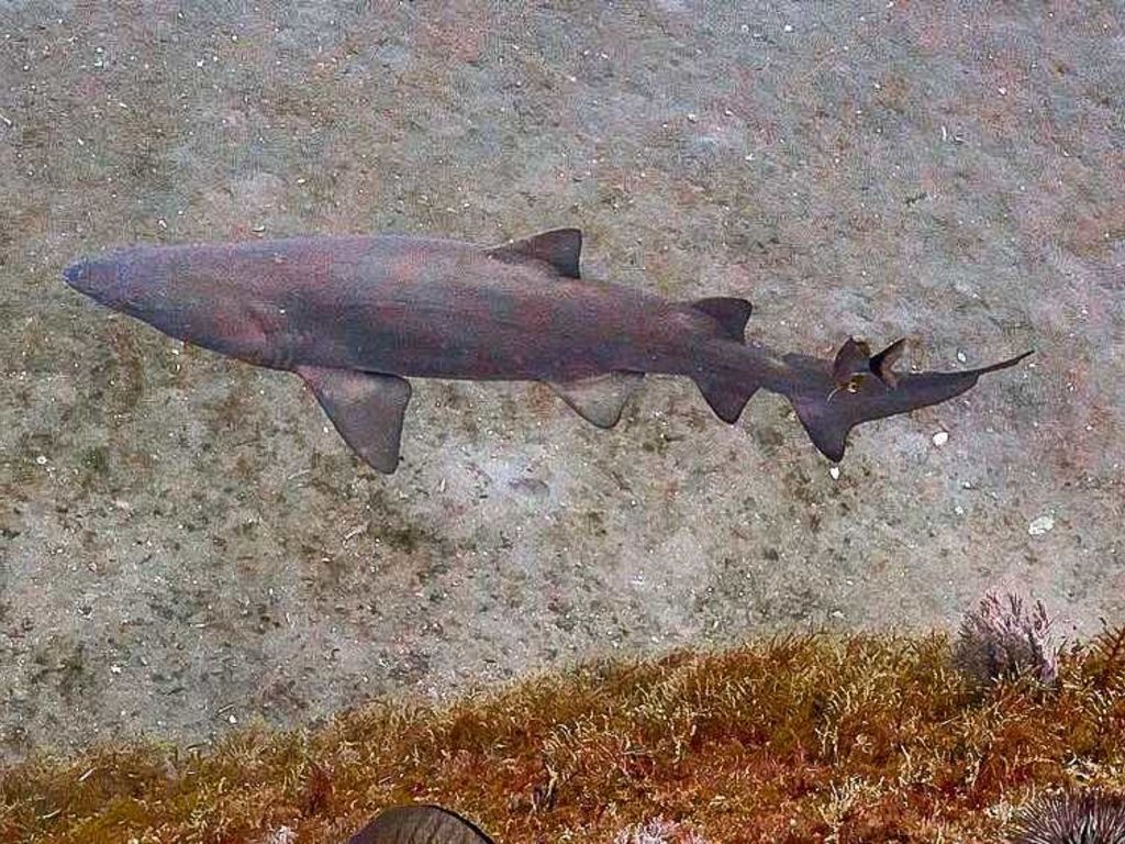 8af4582d-106b-40a4-8a23-2d016c65eb8a