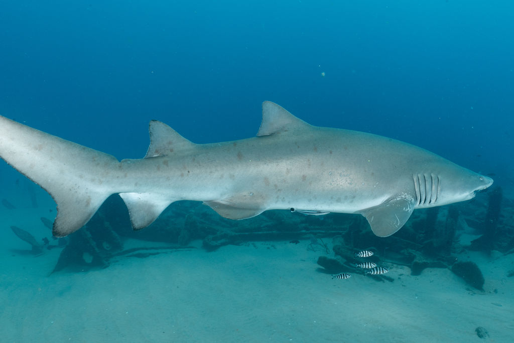 f92ac308-9e6e-4b96-af63-ba2edb434640